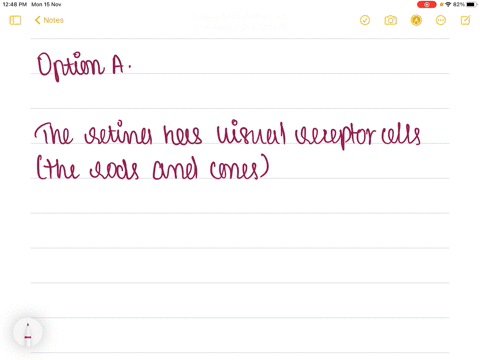 what-function-does-the-retina-serve-a-the-retina-contains-the-visual-receptor-cells-b-the-retina-foc-44385