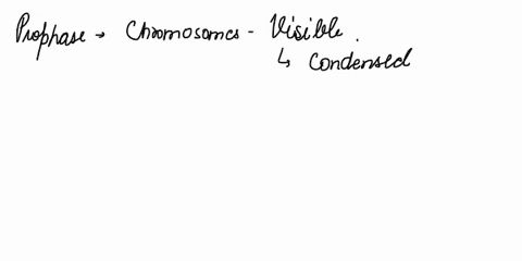 describe-the-appearance-of-the-chromosomes-in-the-following-phases-of-mitosis-prophase-metaphase-anaphase-telophase-01363
