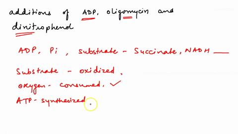 oxygen-consumption-by-isolated-mitochondria-can-be-measured-in-a-device-called-an-oxygen-electrode-typical-data-are-shown-below-where-the-slope-of-the-trace-is-a-measure-of-the-rate-of-oxyge-97417