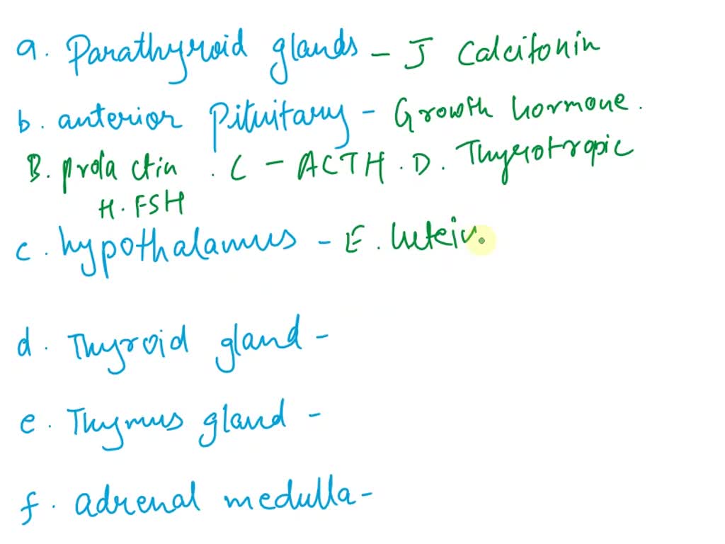 SOLVED Match each of the following hormones with the endocrine gland