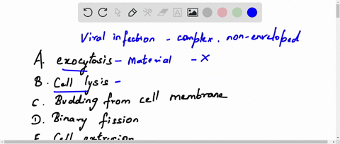 during-the-release-stage-of-a-viral-infection-a-complex-non-enveloped-virus-would-most-likely-be-liberated-through-select-one-exocytosis-cell-lysis-budding-from-cell-membrane-binary-fission-99575