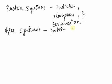 which-step-is-not-a-normal-part-of-protein-synthesis-a-ribosome-degradation-following-termination-b-protein-release-and-folding-cinitiation-of-peptide-synthesis-dactivation-of-the-amino-acid-63978