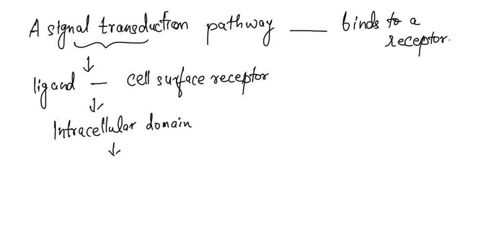SOLVED A signal transduction pathway is initiated when a binds to a
