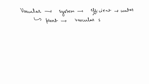 explain-why-vascular-plants-are-better-able-to-sustain-photosynthesis-than-are-bryophytes-02604