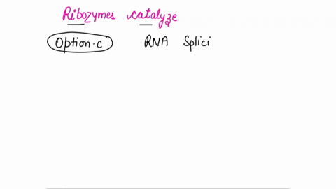 ribozymes-catalyze-which-of-the-following-reactions-dna-synthesis-transcription-rna-splicing-protein-hydrolysis-76285