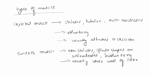 muscle-tissue-the-three-types-of-muscle-tissue-exhibit-similarities-as-well-as-differences-check-the-appropriate-space-in-the-chart-to-indicate-which-muscle-types-exhibit-each-characteristic-93139