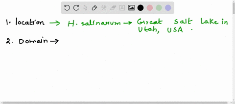 halobacterium-salinarum-halophilic-archaean-specimen-questions-point-form-answers-describe-the-location-and-environment-in-which-both-halophiles-were-first-isolatedgive-a-brief-overview-of-t-11746