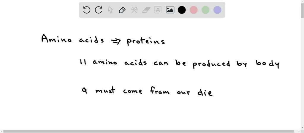 solved-what-do-we-call-the-amino-acids-that-humans-can-synthesize