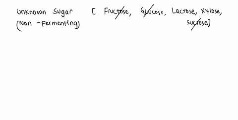 an-unknow-consisting-of-single-sugar-gives-negative-fermentation-test-which-one-of-the-following-tests-would-allow-you-to-decide-which-of-the-sugars-fructose-glucose-lactose_-sucrose-xylose-69595