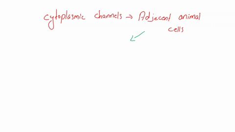 cytoplasmic-channels-connecting-adjacent-animal-cells-are-called-desmosomos-gap-junctions-tight-junctions-plasmodesmata-61722
