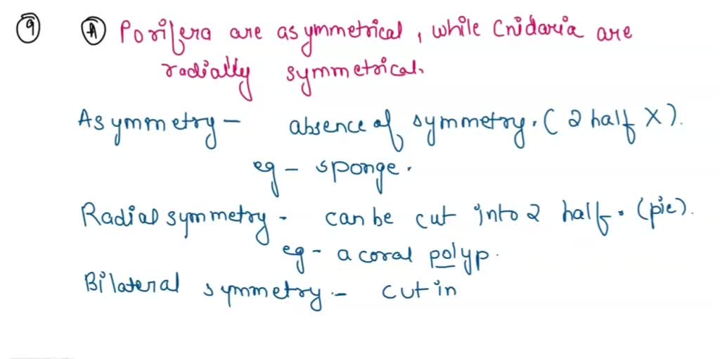 SOLVED 9. Which is a correct statement regarding the symmetry of the