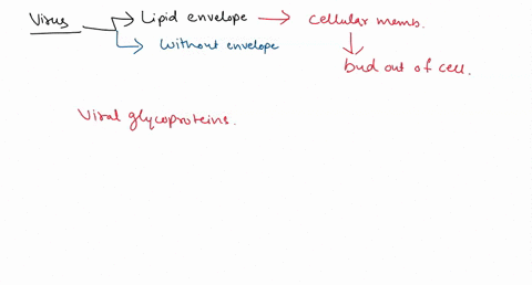 which-statement-correctly-contrasts-viruses-with-envelopes-and-viruses-without-envelopes-only-viruses-with-envelopes-have-their-contents-enclosed-by-a-lipid-containing-layer-only-viruses-wit-33461