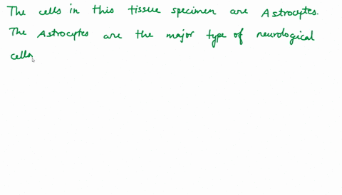 name-the-cells-in-this-tissue-specimen-94572