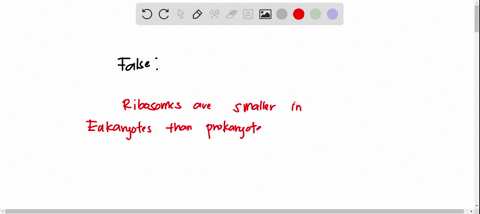 which-is-not-true-of-eukaryotic-cells-a-true-nucleus-contains-the-chromosomes-b-eukaryotic-cells-contain-membrane-bounded-compartments_-they-contain-ribosomes-that-are-smaller-than-those-of-02053
