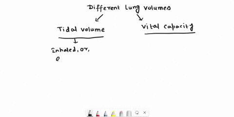 data-table-6-mks-table-1-this-table-shows-subject-data-vital-capacity-sex-height-age-activity-level-balloon-diameter-cm-low-medium-high-trial-1-trial-2-trial-3-average-volume-cm3-volume-from-31904