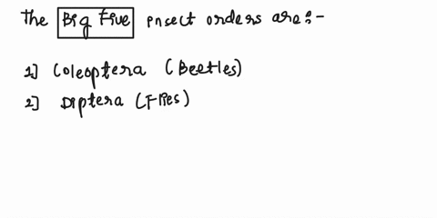 the-big-five-insect-orders-are-the-most-species-rich-groups-alive-today-a-list-these-five-orders-using-what-you-have-learned-about-these-orders-list-two-principle-identifying-characteristics-66914