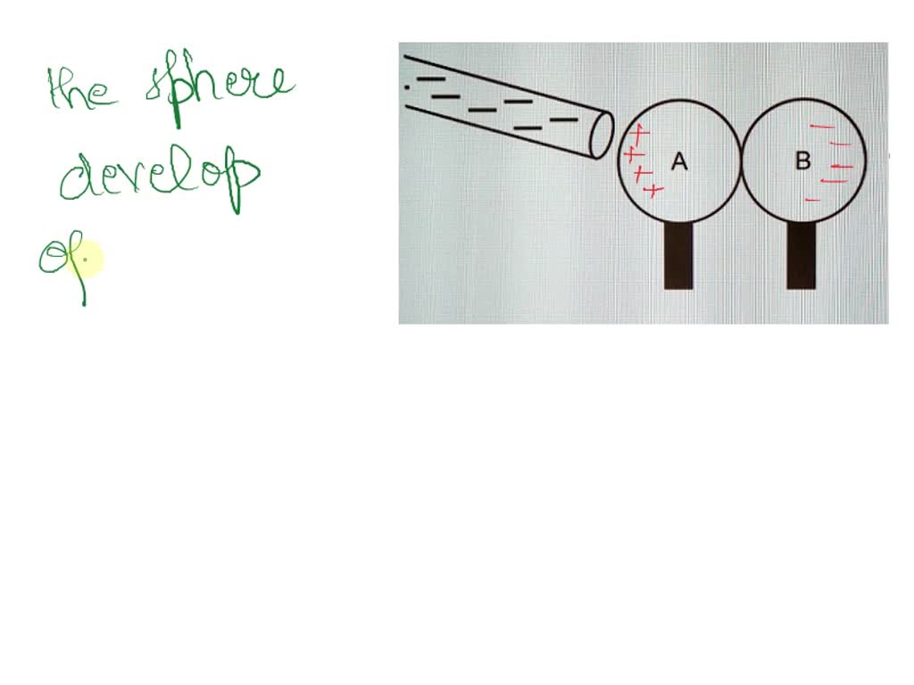 SOLVED 'a negatively charged rod is placed near two neutral metal