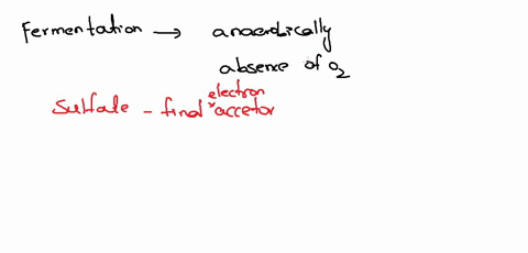 which-molecule-typically-serves-as-the-final-electron-acceptor-during-fermentation-a-oxygen-b-nad-c-74203