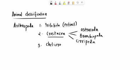 describe-the-various-superclasses-that-phylum-arthropoda-can-be-divided-into-23297