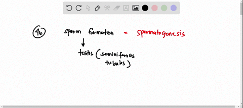 46-the-process-of-male-gamete-or-sperm-cell-development-is-known-as-amitosis-b-spermatogenesis-fertilization-oogenesis-the-process-of-female-gamete-or-ova-cell-egg-development-is-known-as-47-55118