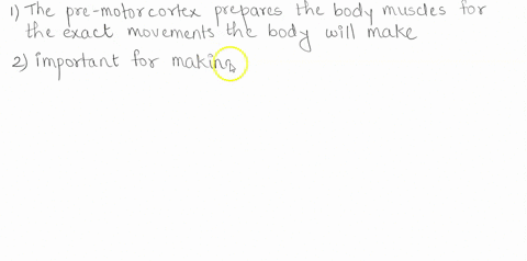 question-7-1-pts-voluntary-movement-which-brain-structure-contains-neurons-pyramidal-cells-that-are-responsible-for-generating-commands-that-are-passed-to-skeletal-muscles-motor-association-54334