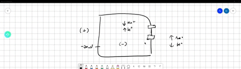 13-if-you-experimentally-increase-the-concentration-of-na-outside-a-cell-while-maintaining-other-ion-concentrations-as-they-were-what-would-happen-to-the-cells-membrane-potential-b-the-membrane-potent