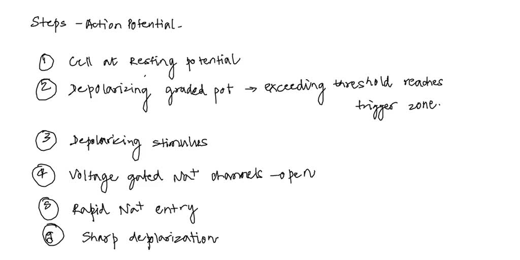 SOLVED: 1. Below are the steps that take place for the generation of an ...