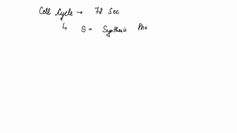 which-phase-occurs-directly-after-s-phase-o-a-g2-o-b-g1-o-c-cytokinesis-o-d-m-phase-26079