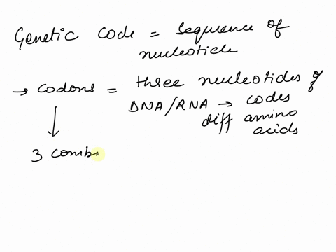 which-codon-codes-for-start-and-methionine-met-a-aacb-aguc-ugad-aug-second-letter-uuu-ucu-uau-ugu-phe-tyr-cys-uuc-ucc-uac-ugc-ser-uua-uca-uaa-stop-uga-stop-leu-uug-ucg-uag-stop-ugg-trp-cuu-c-49365