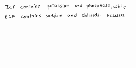 please-type-out-list-major-electrolytes-sodium-potassium-and-chloride-in-intracellular-and-extracellular-fluid-compartments-what-are-concerns-regarding-excesses-or-deficiency-of-these-define-94112