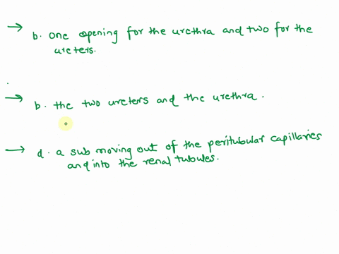 question-23-50-the-three-openings-of-the-floow-of-the-one-bladder-openning-are-for-the-ureter-and-to-for-bone-each-urethra-opening-for-the-uretthra-and-wo-for-the-ureters-c-one-opening-for-t-51423