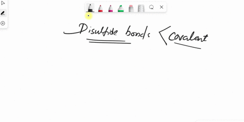 disulfide-bonds-are-covalent-bonds-between-s-atoms-of-amino-acid-r-groups-of-separate-amino-acids-in-the-same-protein-true-or-false-83134
