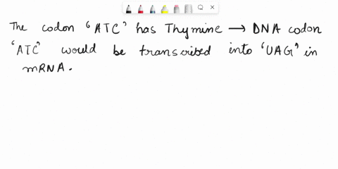 if-the-codon-is-atc-what-is-the-corresponding-anticodon-35937