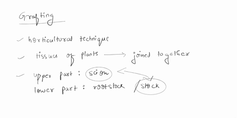 which-statement-concerning-grafting-is-correct-a-stocks-and-scions-refer-to-twigs-of-different-spe-2-39773