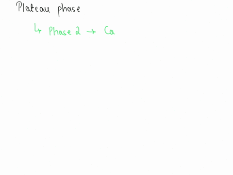 what-is-the-plateau-phase-of-the-action-potentials-of-myocardial-contractile-cells-99307