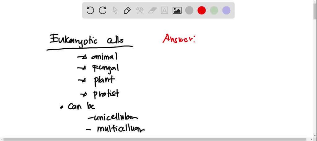 Select The True Statement Regarding Eukaryotes