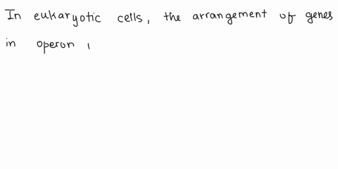 if-all-the-chromosomes-in-the-nucleus-of-a-single-eukaryotic-somatic-cell-were-stretched-out-in-a-line-the-length-of-the-dna-would-be-about-3m-the-diameter-of-the-nucleus-of-a-eukaryotic-cel-97205