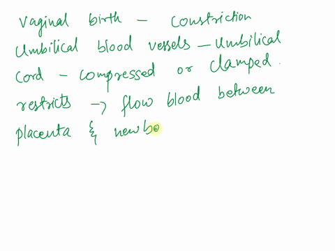 constriction-of-umbilical-blood-vessels-during-vaginal-birth-a-causes-respiratory-alkalosis-b-inhibi-94999