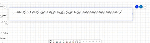 consider-the-following-mrna-sequence-and-answer-the-following-questions-5-auugcuauggauagcuggggcugaaaaaaaaaaaaaaaa-3-1-what-is-the-amino-acid-sequence-that-this-mrna-will-generate-2-if-the-un-71452
