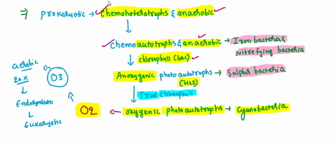 scientists-estimate-that-the-earth-formed-some-46-billion-years-ago-with-the-first-forms-of-life-appearing-around-35-billion-years-ago-these-first-forms-of-life-were-simple-prokaryotes-later-59305