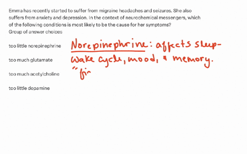 emma-has-recently-started-to-suffer-from-migraine-headaches-and-seizures-she-also-suffers-from-anxiety-and-depression-in-the-context-of-neurochemical-messengers-which-of-the-following-conditions-is-mo