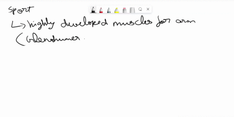 name-one-sportathletic-activity-that-requires-athletes-to-have-highly-developedstrong-muscles-that-perform-arm-glenohumeral-medial-rotation-important-briefly-explain-1-2-sentences-why-athlet-81376