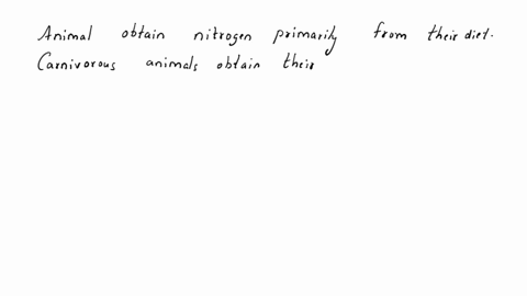 animals-need-a-source-of-nitrogen-as-part-of-their-diets-10589