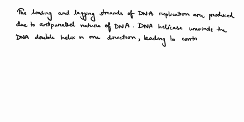 what-is-the-reason-why-dna-replication-produces-a-leading-strand-and-a-lagging-strand-synthesized-in-a-slightly-different-manner-adna-helicase-can-only-unwind-the-dna-double-helix-in-one-dir-73546