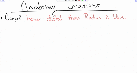 2-using-anatomical-planes-and-terms-describe-where-each-body-part-or-organ-listed-below-is-located-a-gluteus-the-gluteus-is-located-posterior-to-the-pelvic-b-left-carpal-c-nose-d-right-lung