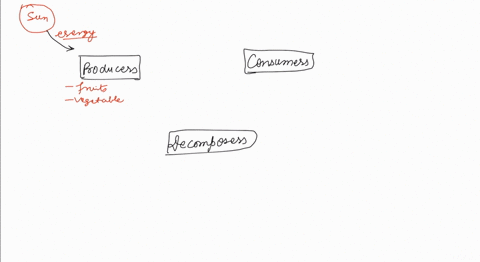 draw-and-explain-the-relationship-between-producers-and-consumers-including-decomposers-2-77531