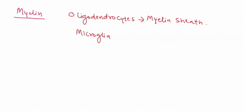 which-of-the-following-cells-make-myelin-pick-all-that-apply-satelitte-cells-microglia-ependymal-cells-astrocytes-oligodendrocytes-schwann-cells-neuron-66087