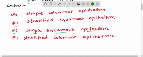 question-9-the-tissue-lining-the-small-intestine-of-the-digestive-tract-is-called-simple-columnar-epithelium-stratified-squatous-epithelium-simple-squatnous-cplthelium-dstratified-columnar-e-15108