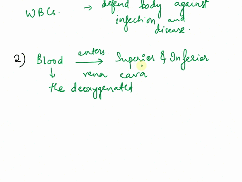 1-identify-the-components-of-blood-and-describe-the-function-of-each-component-2-beginning-with-the-vena-cava-describe-the-flow-of-blood-through-the-heart-pulmonary-circuit-and-systemic-circ-31412