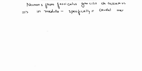 question-15-where-do-neurons-from-the-fasciculus-gracilis-decussate-in-the-spinal-cord-at-the-level-they-enter-in-the-midbrain-in-the-thalamus-in-the-medulla-70995